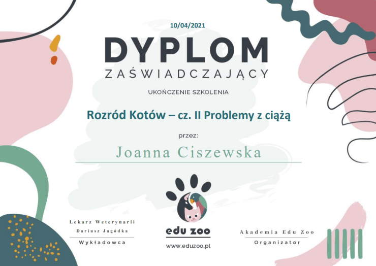 lek-wet-jagódka-rozród-kotów-szkolenie-problemy-z-ciążą-hodowla-kotów-syjamskich-orientalnych-colorpoint-rusori-house-szkolenia-animalia