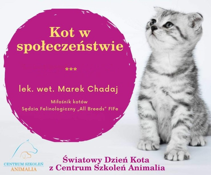 seminarium-kompetencje-kot-w-społeczeństwie-rusori-house-chadaj-hodowla-kotów-seszelskich-colorpoint-orientalnych-syjamskich.png